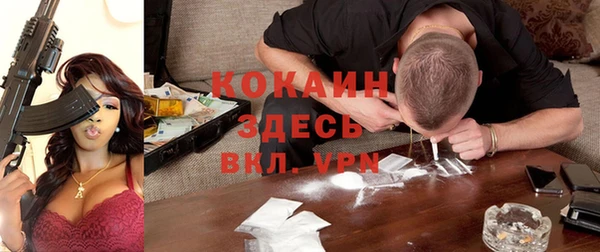 PSILOCYBIN Навашино