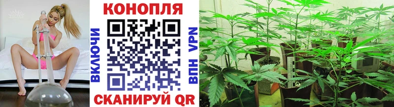 МАРИХУАНА ГИДРОПОН  Арзамас 